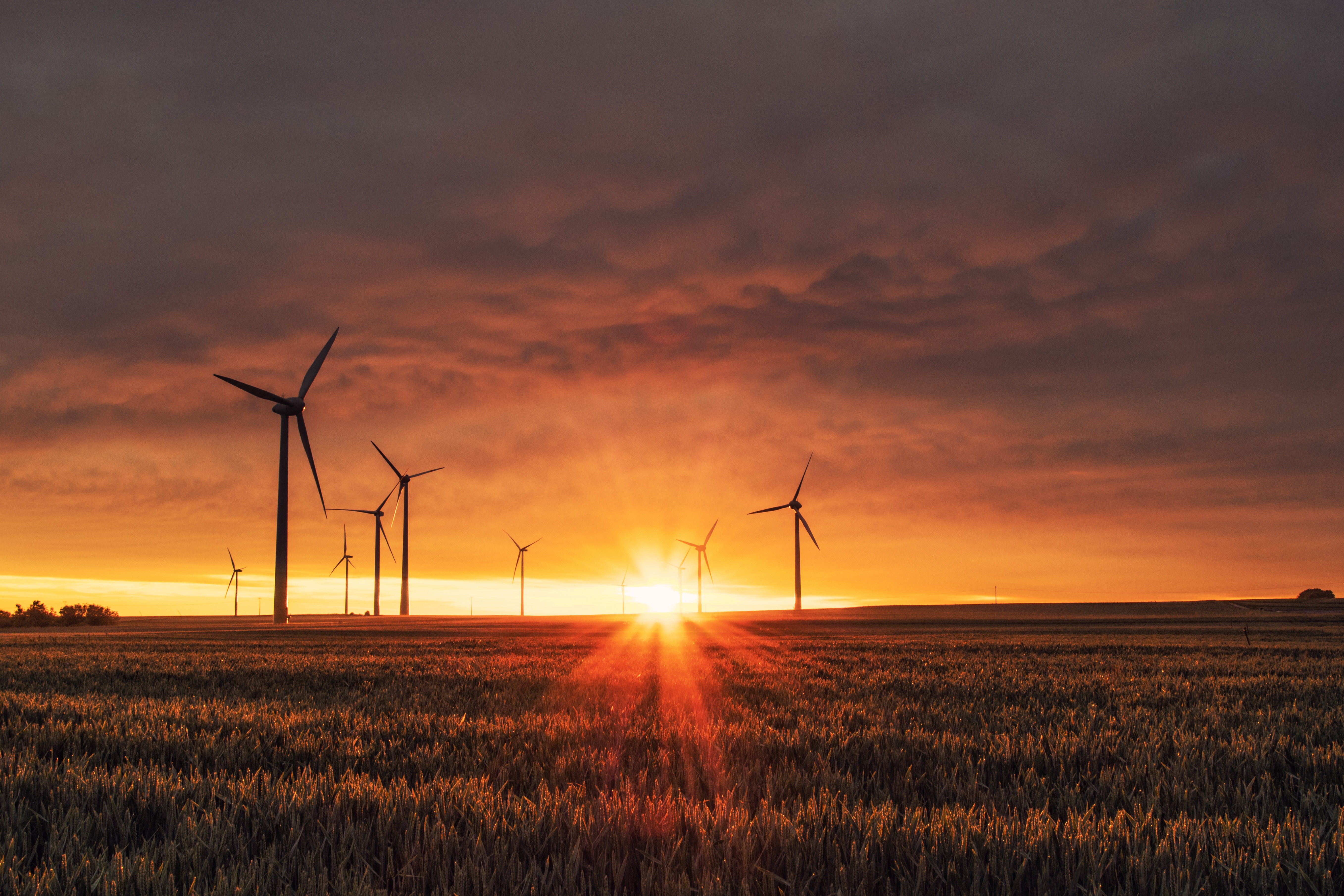 Windenergieanlagen im warmen Abendlicht